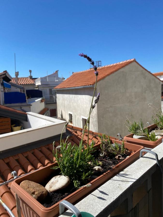 Apartment Lucy Piran-punta *