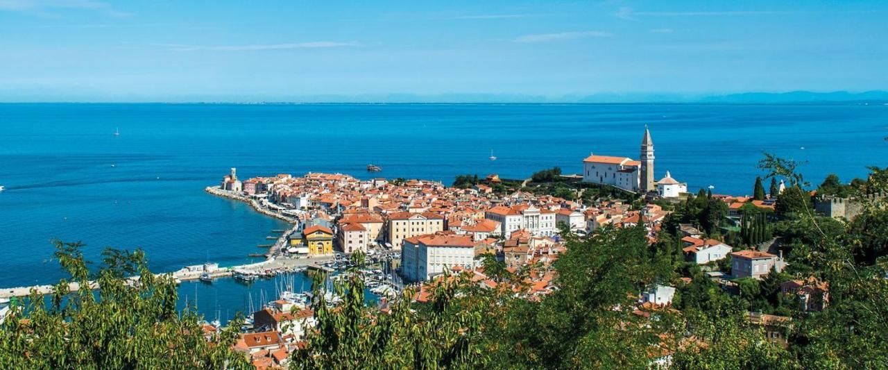 Lucy Piran-punta