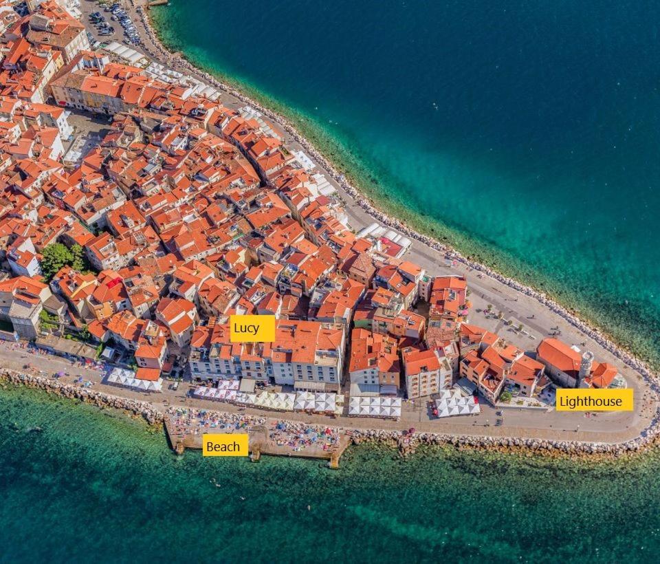 Lucy Piran-punta